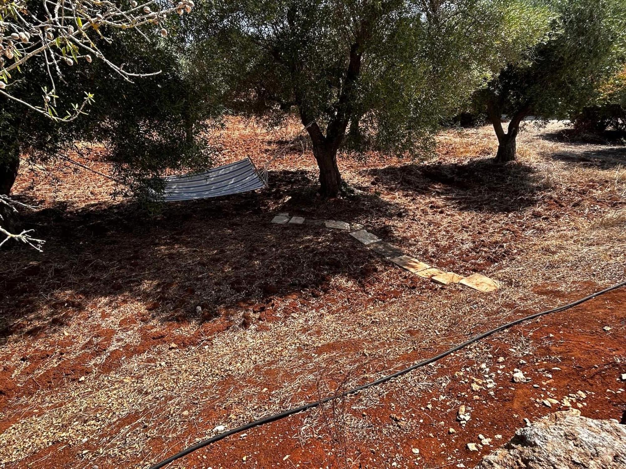Traditional Trullo With Private Pool Near Ostuni Βίλα Εξωτερικό φωτογραφία